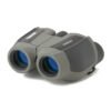 carson scout plus 10x25mm porro prism binoculars