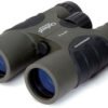 celestron outland 8x42mm roof prism wp binoculars