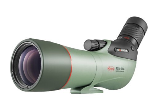 kowa tsn 66a prominar spotting scope scaled